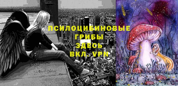 винт Арсеньев