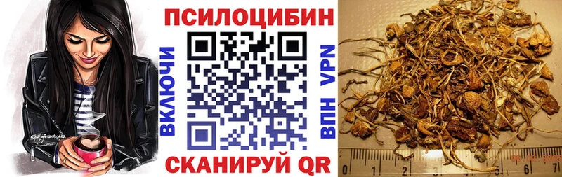 Галлюциногенные грибы Magic Shrooms  Приозерск 